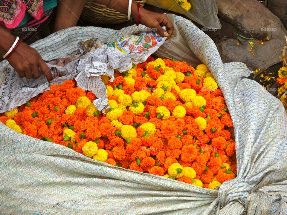 fleurs en Inde
