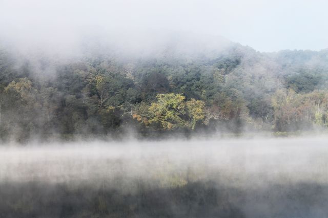 Fog over river 