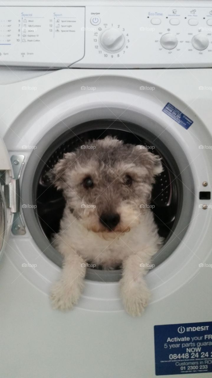 No Person, Laundry, Indoors, Home Appliance, Laundry Facility