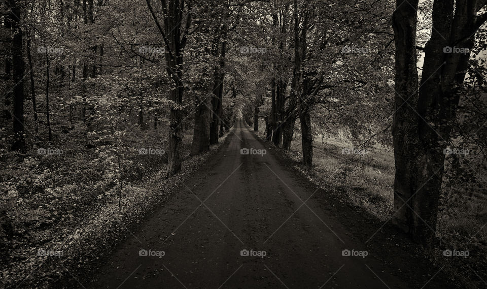 The long ending road