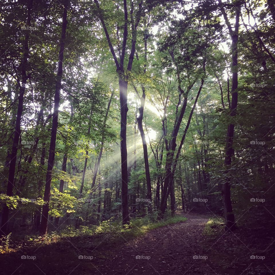 Last week I finished my first 100 mile trail race and today I was back home and out at it again in my sanctuary. I'm grateful and blessed for finishing last weekend and having taken care of myself the last week to recover. 