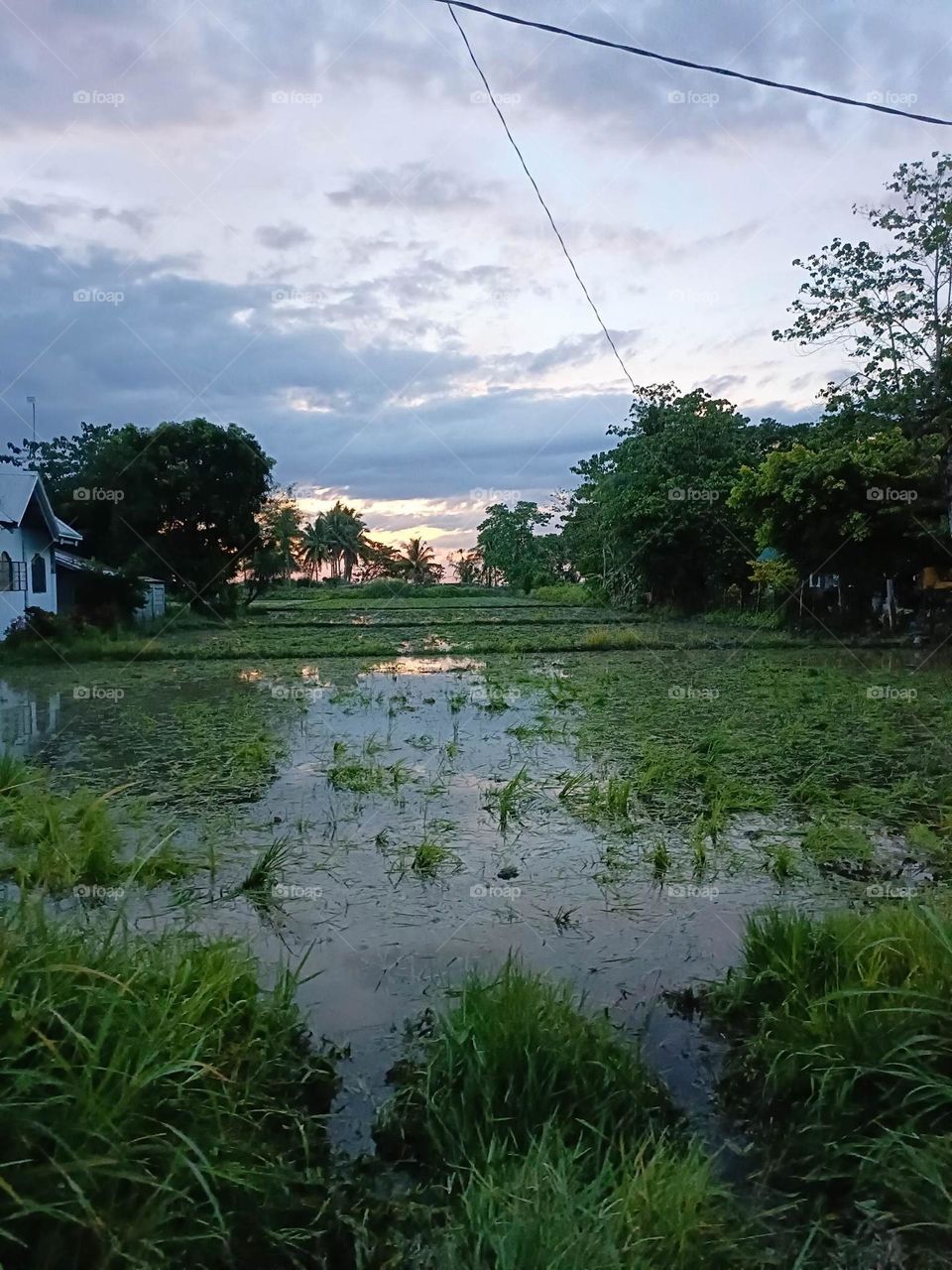 calmness after the rain