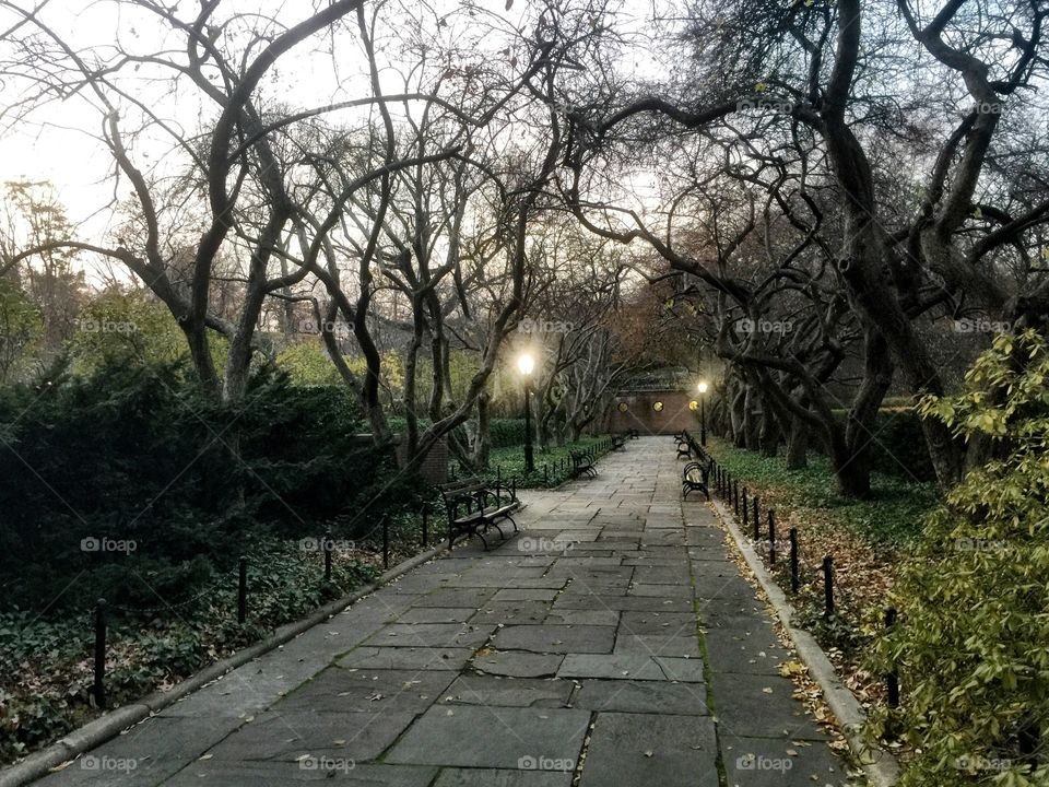 Central Park at dusk