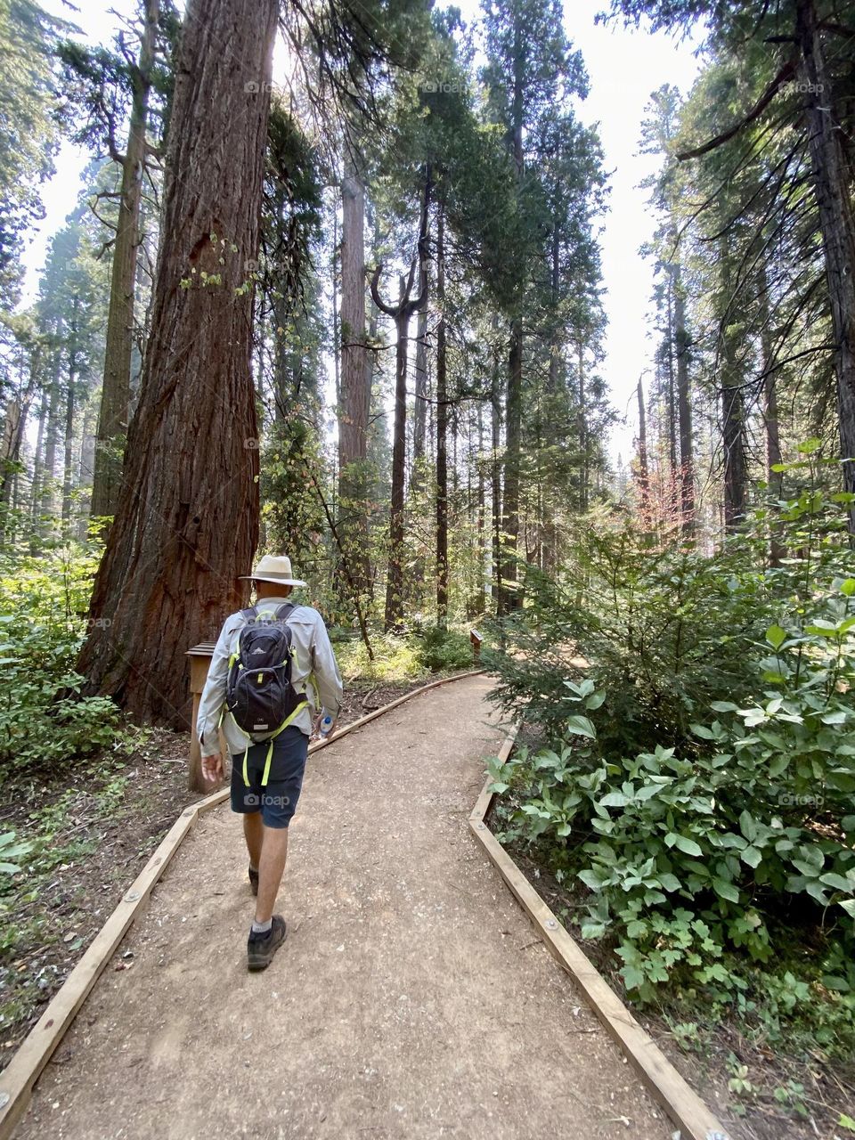 A man from behind walking on a hiking path 