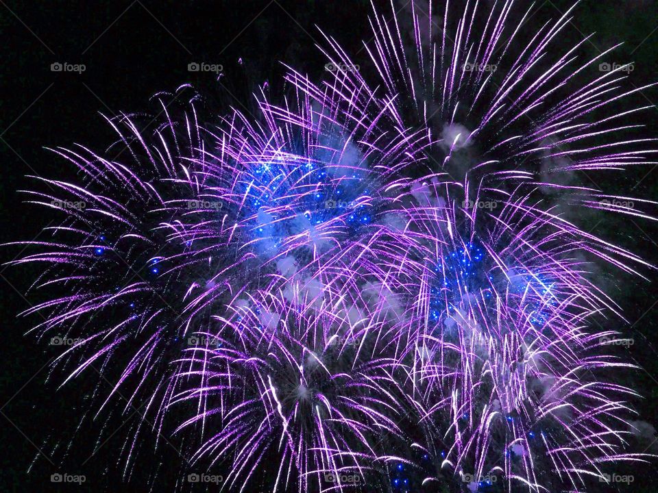 Purple Fireworks 