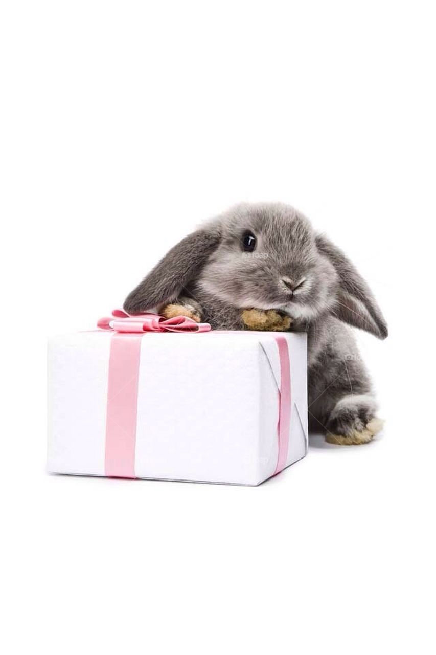 Humam.alhealy@yahoo.com