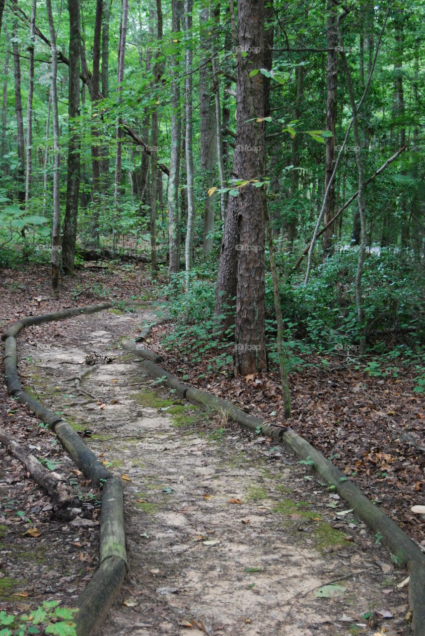 Hiking trail