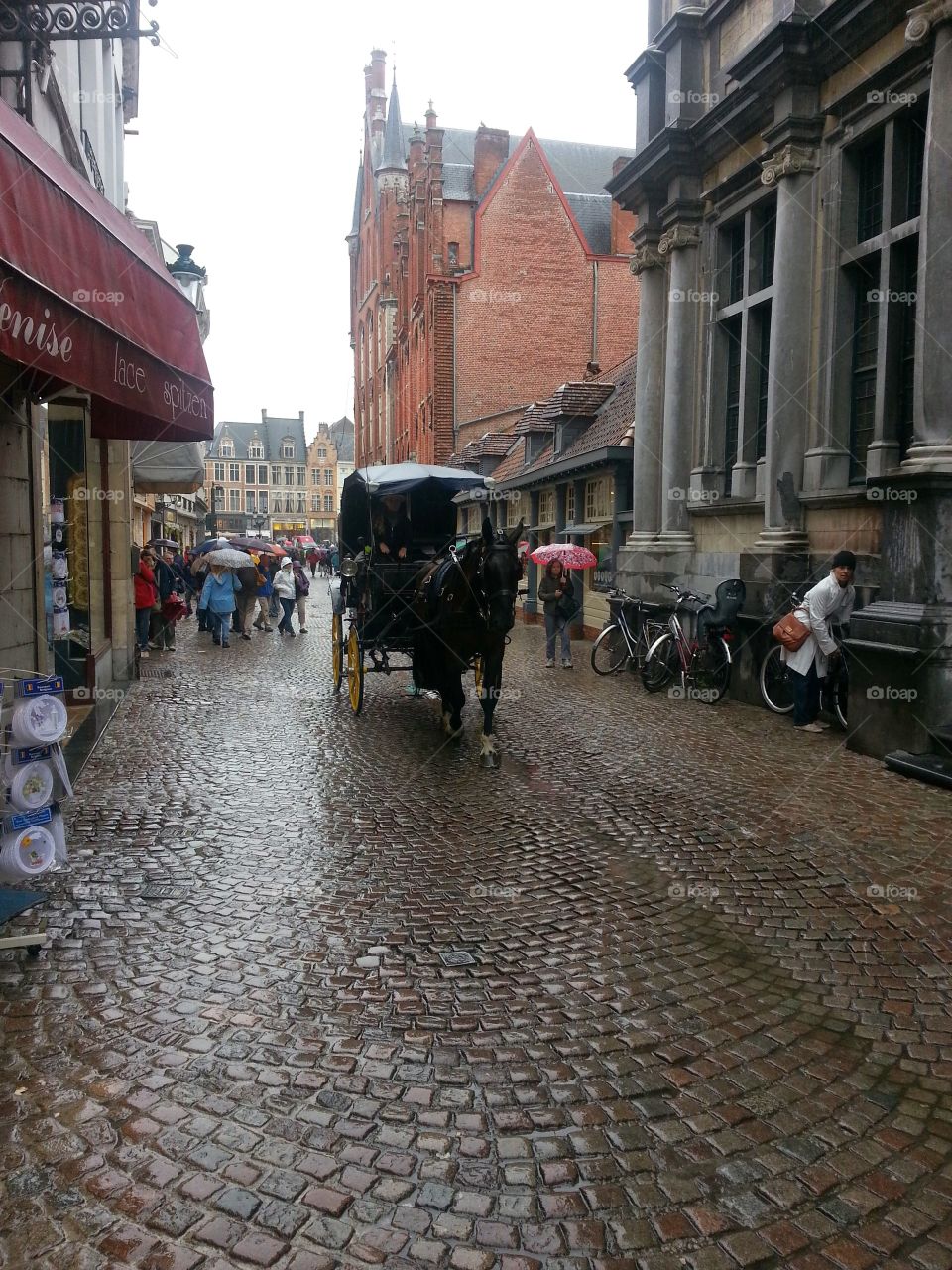 Bruges : Horse drawn carriage
