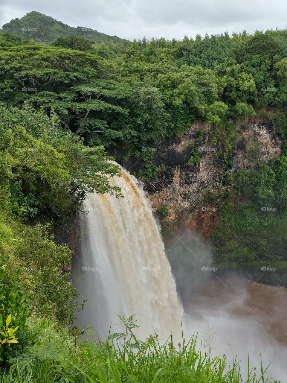 Waimea Falls Kauai