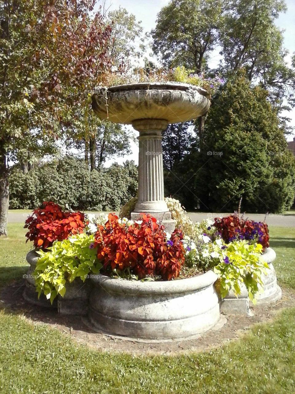 The old fountain