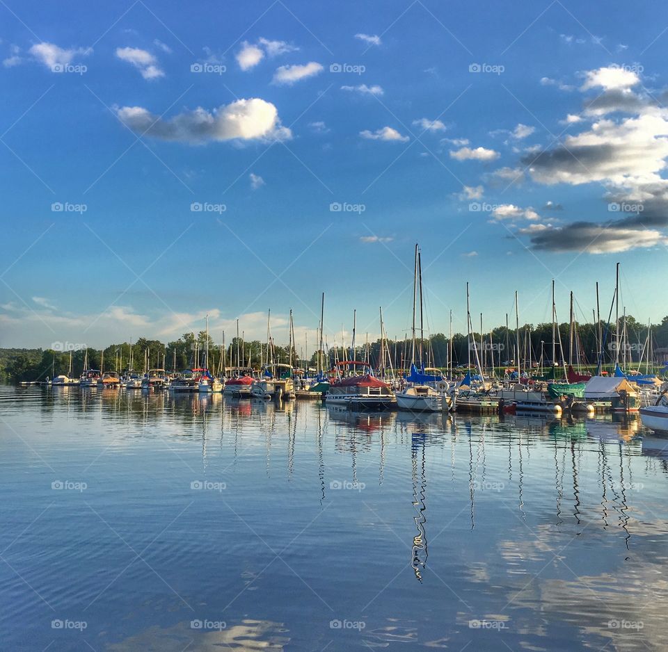 Boats docked in the marina