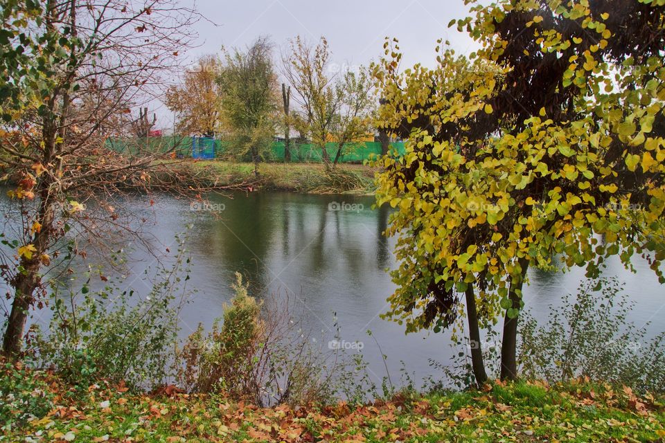 riverbank in autumn