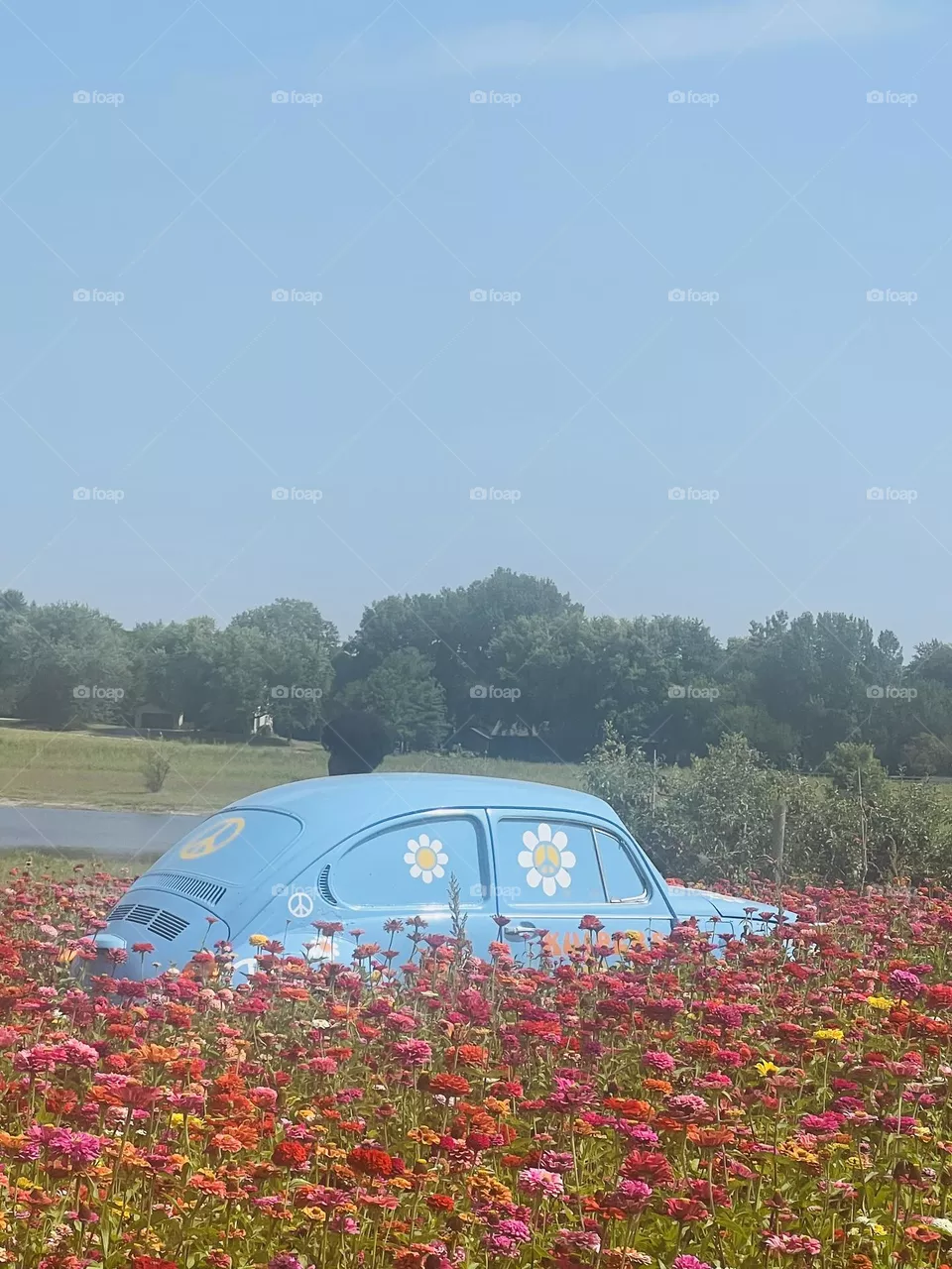 Flower Power Car 