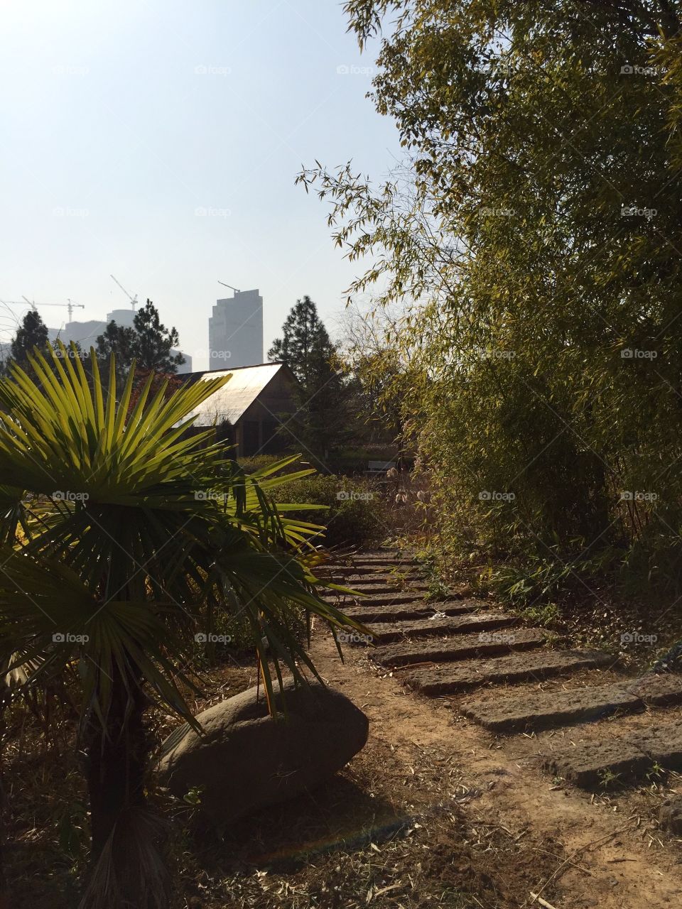 A walkway to the house