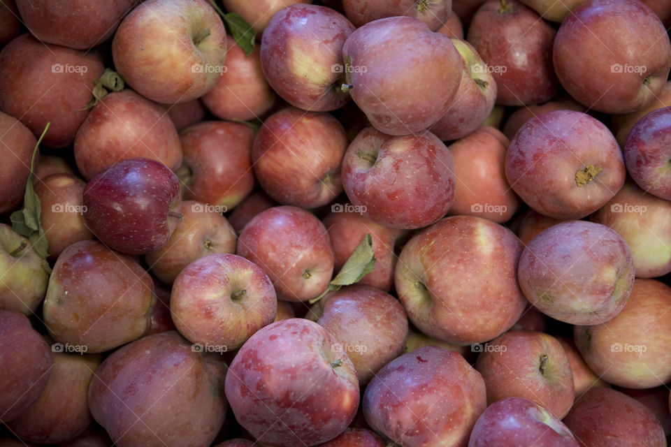 Red delicious apples from the orchard 