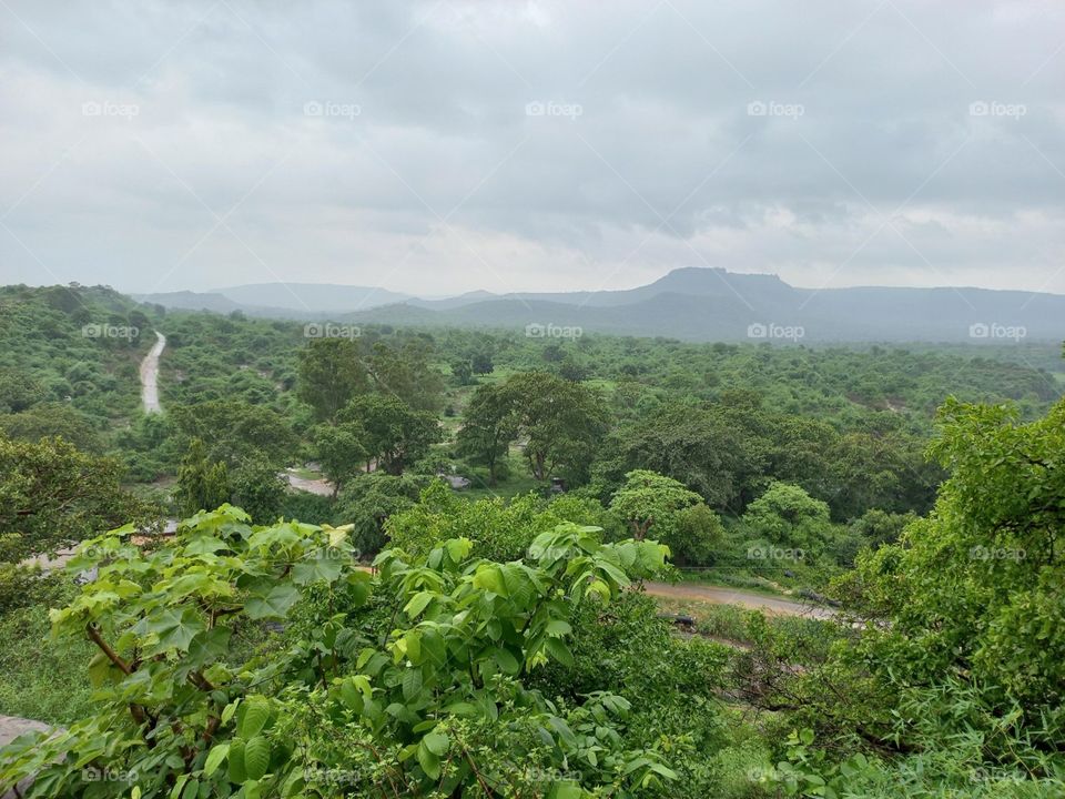 What law, what reason can deny that gift so sweet, so natural that God has given a stream, a fish, a beast, a bird?