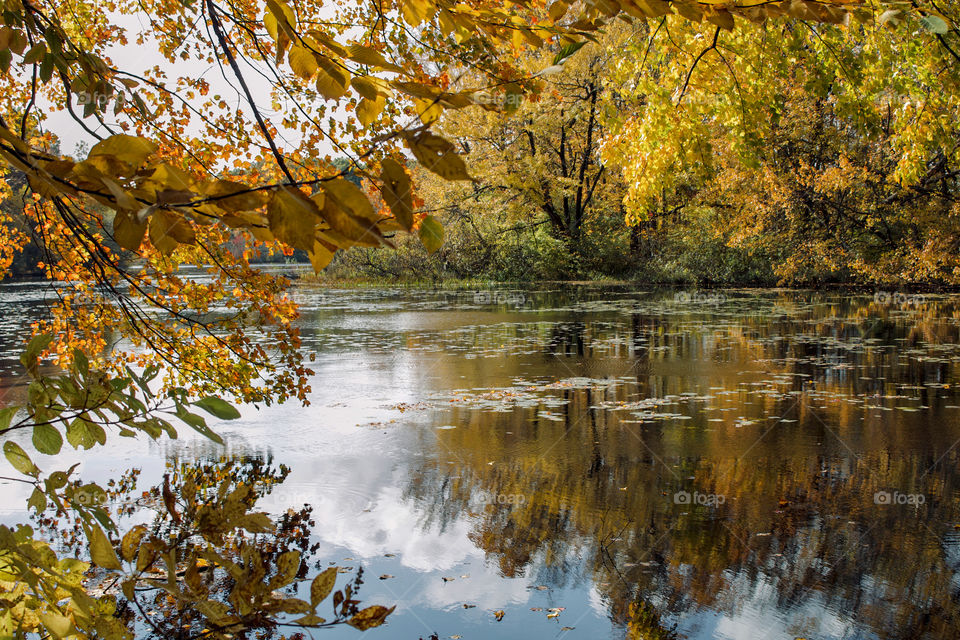 Autumn in New England 