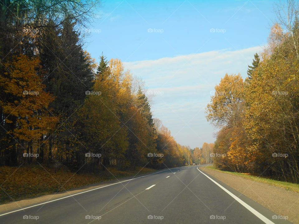 autumn landscape and road