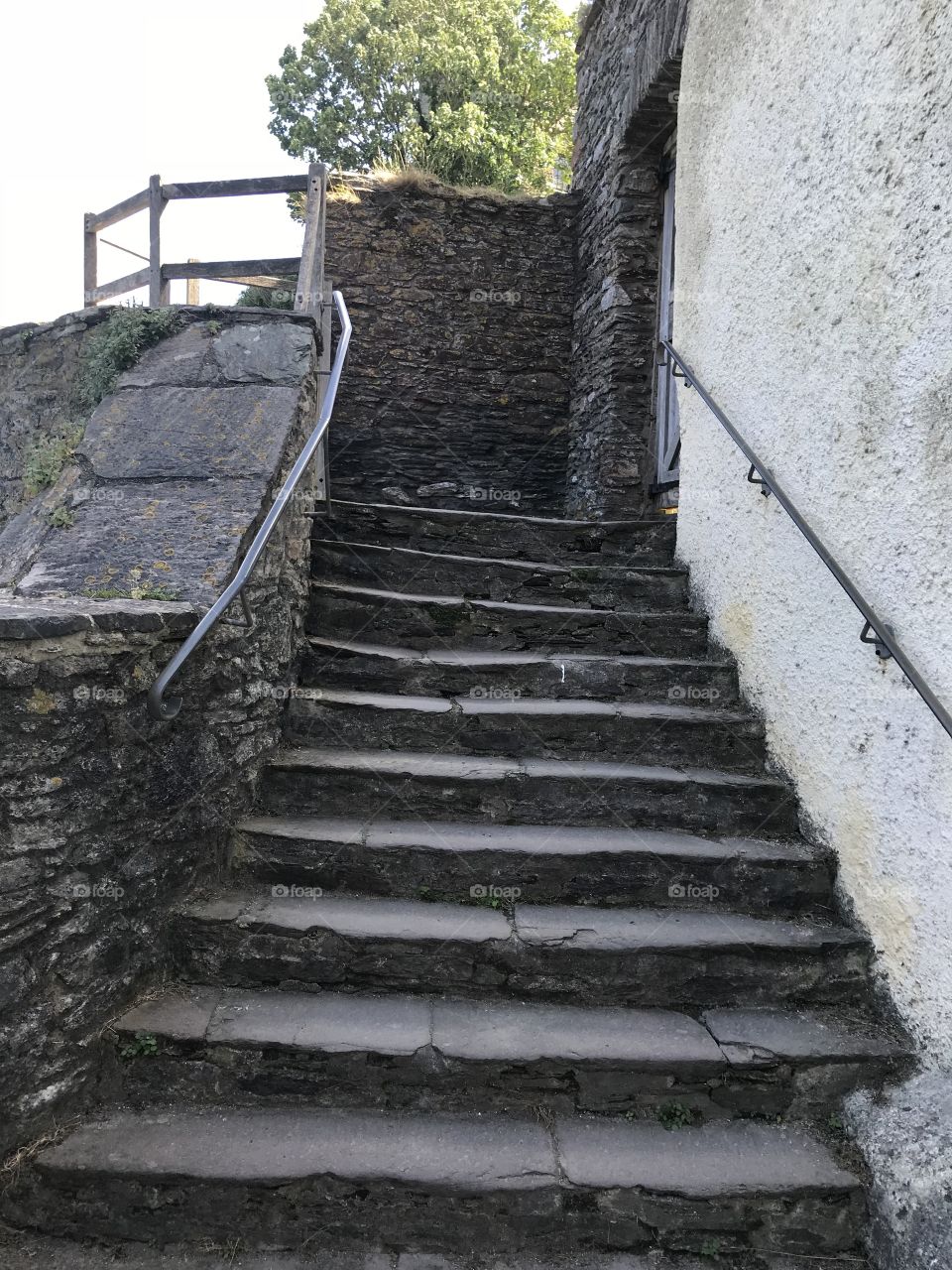 There are a number of delightful walkways as you meander around Dartmouth Castle, this was one of them.