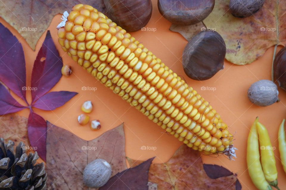 Corn