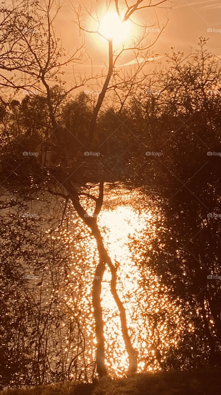 As the warm Winter Sun starts descending to the settling point the lake shore is darkened and the backlit Hues brightens with every second. 