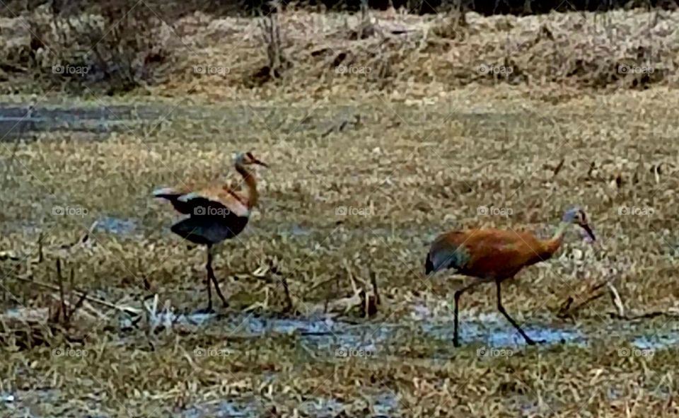 Driving the back Roads
