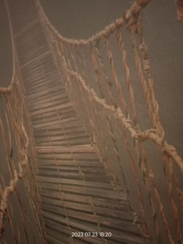 along in the bridge