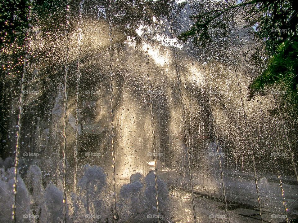 Water droplets in sunlight