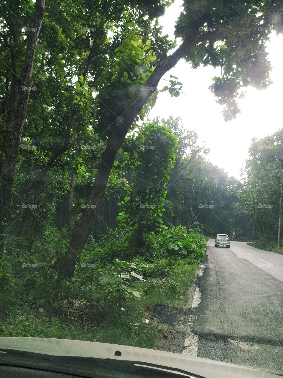 The woods are lovely dark and deep 
but I have promises to keep 
and miles to go before I sleep, 
and miles to go before I sleep.