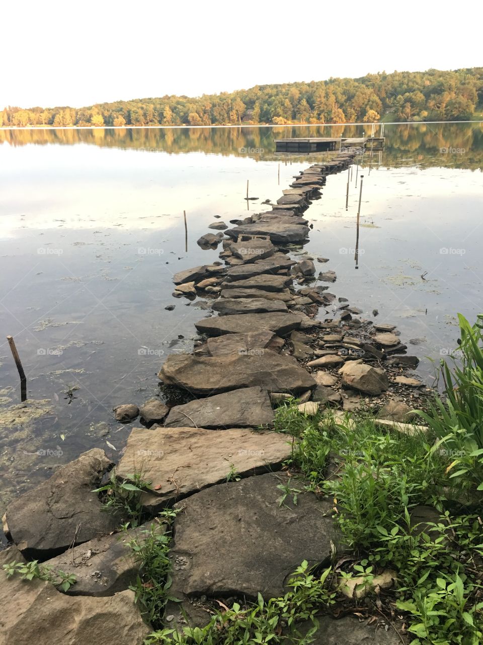 The lake path
