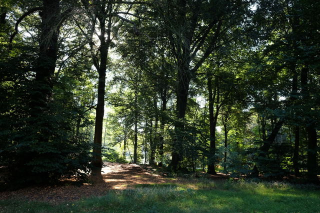 Park in Antwerp