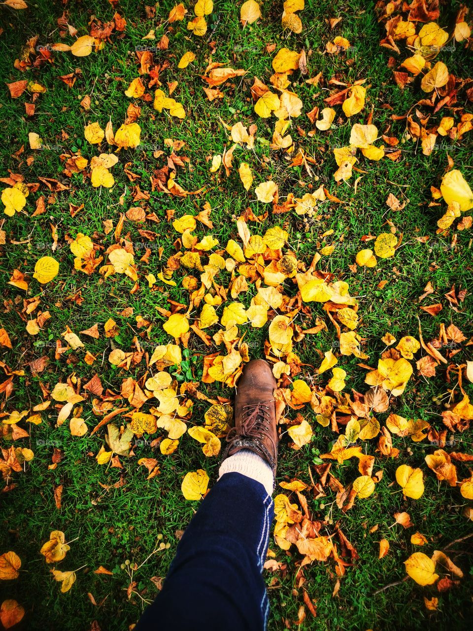 Stepping into Autumn