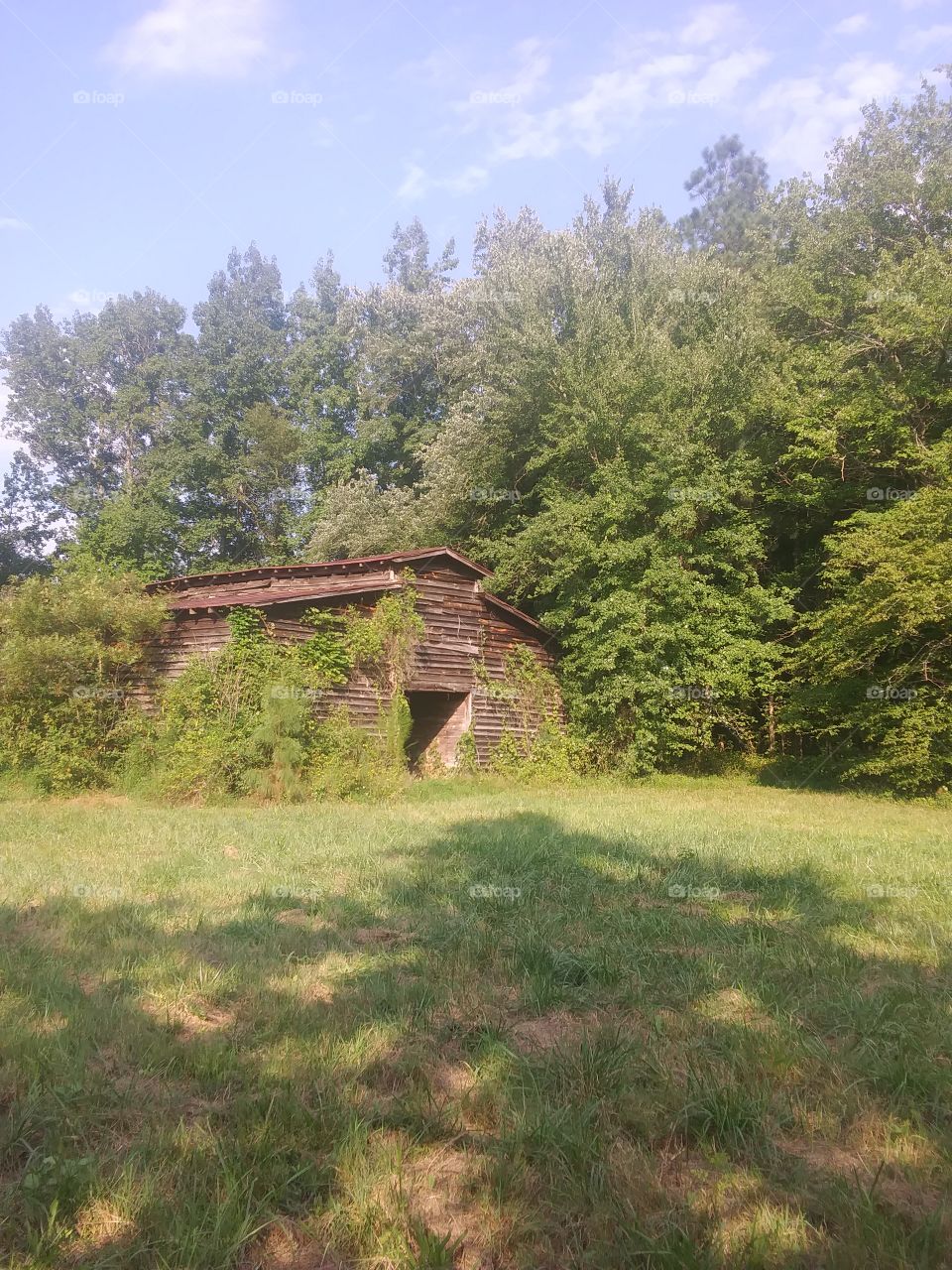 abandoned horse barn