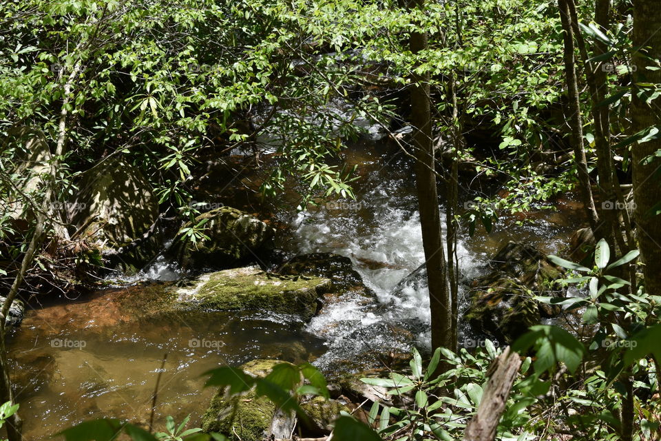 stream alongside trail into mountains
