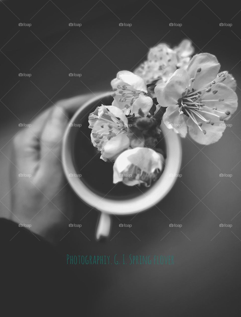 Ukraine 🇺🇦 beautiful spring pice in Ukraine 🇺🇦 beautiful morning