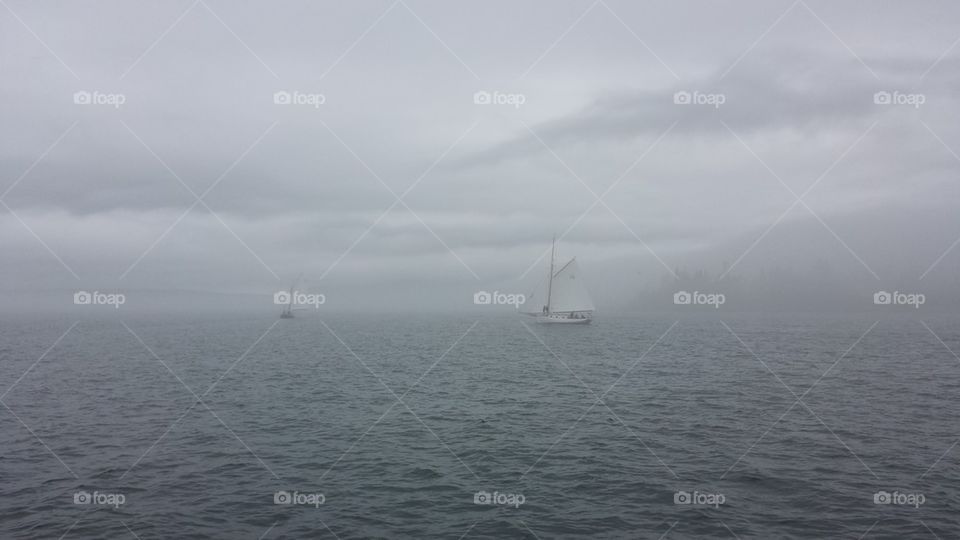 Wooden Boats In Fog