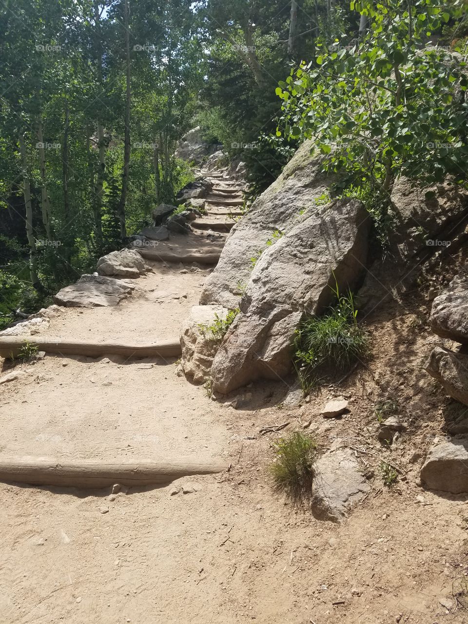 Hikers Trail