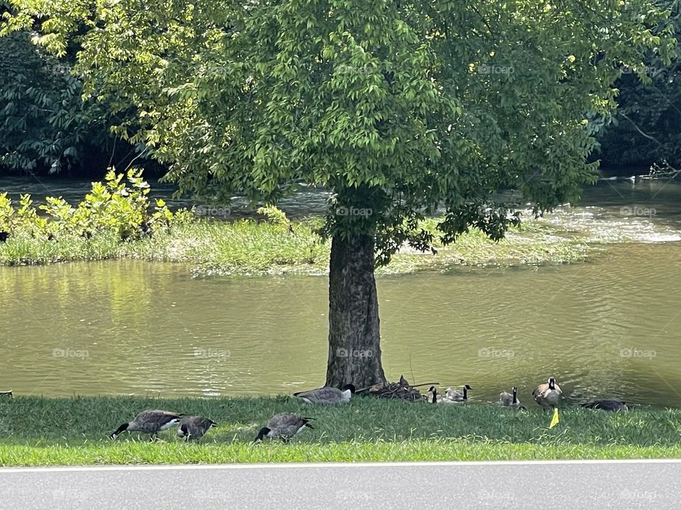 River across from work 