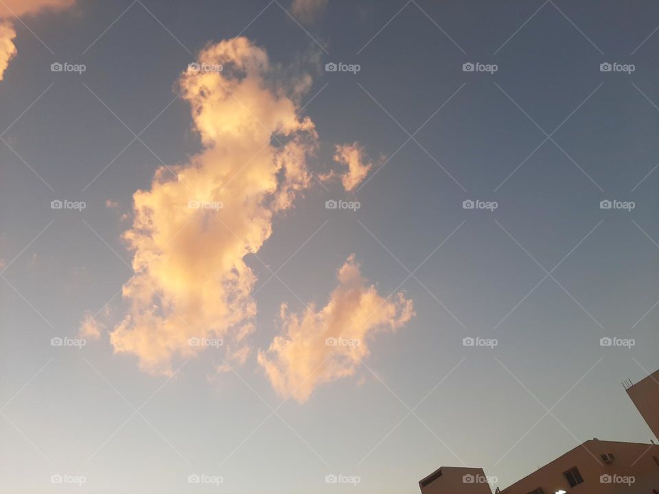 Please help me, I am very poor, I need your support