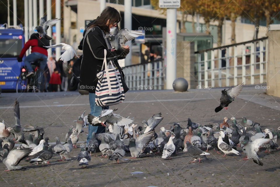 predator feeding/raubtierfütterung