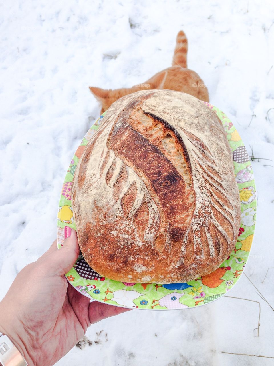 sourdough loaf
