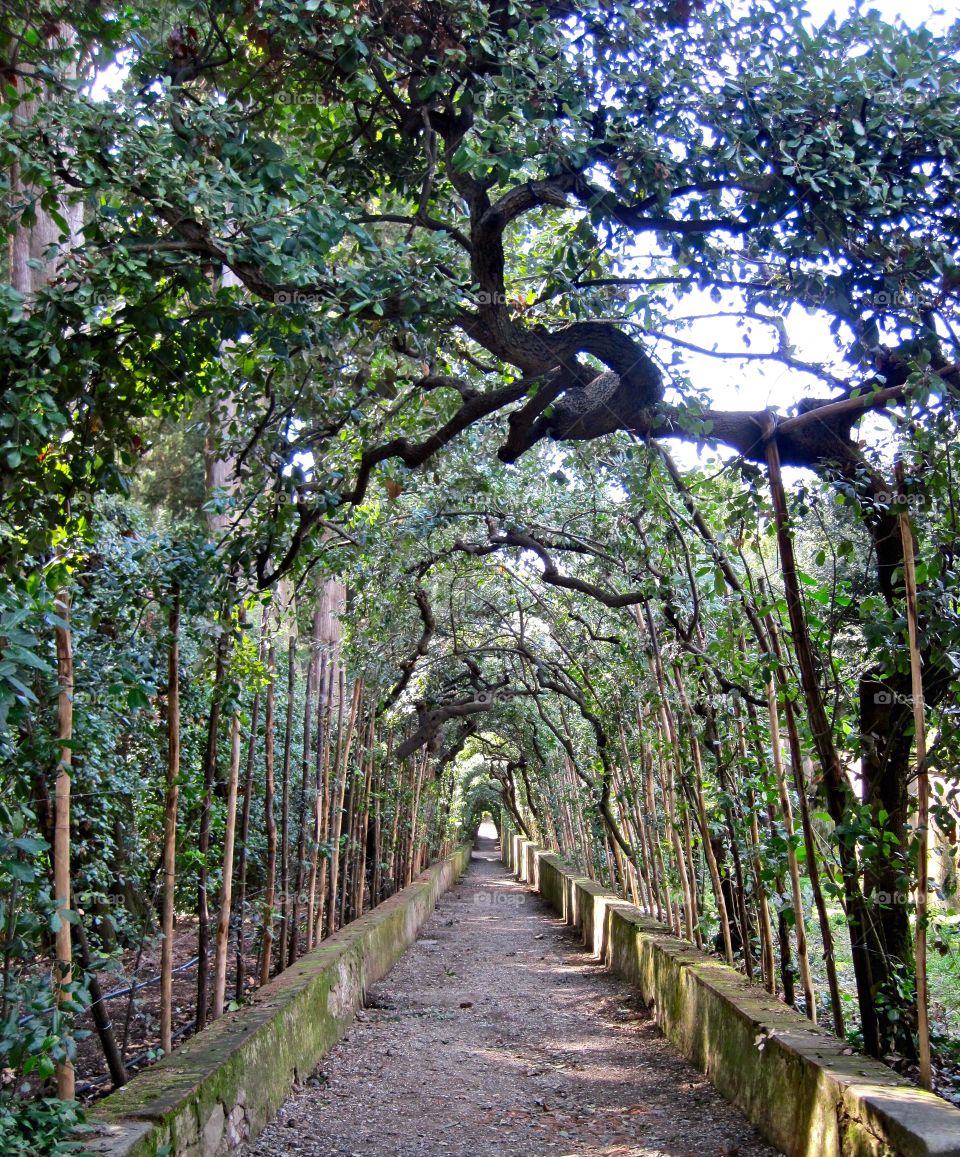 Giardini di Boboli 
