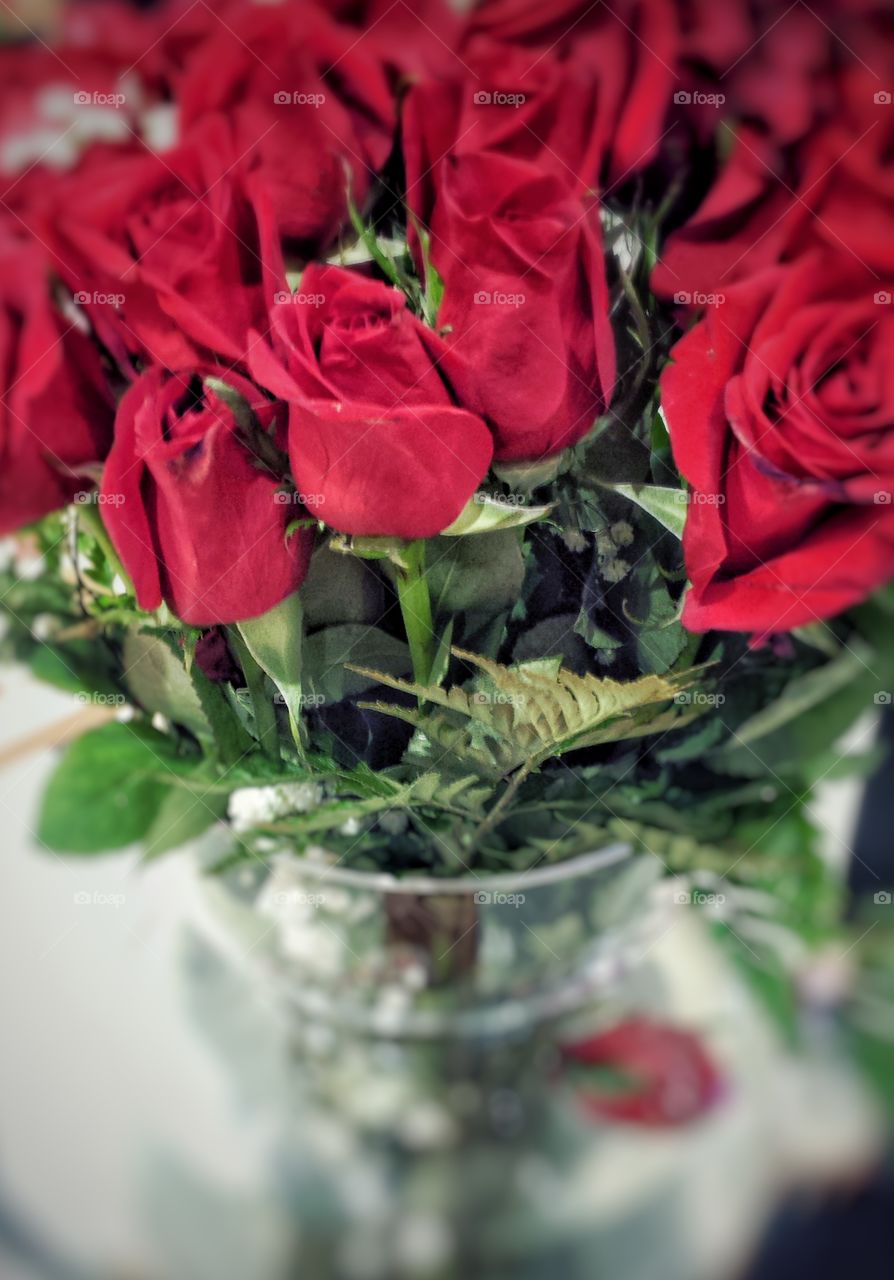 Red Roses