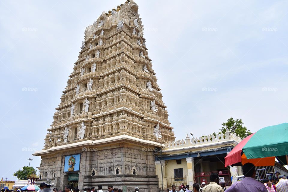 Prominent in South India, marked by towering gopurams, intricate carvings