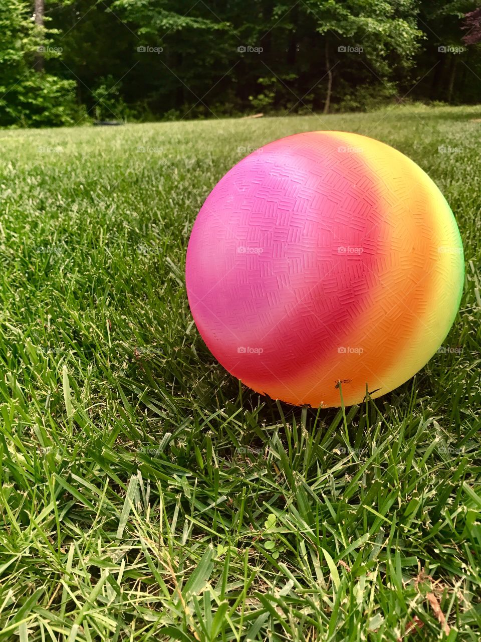 Lawn & Ball