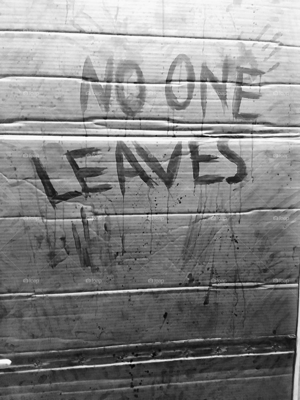 no one leaves , nice words