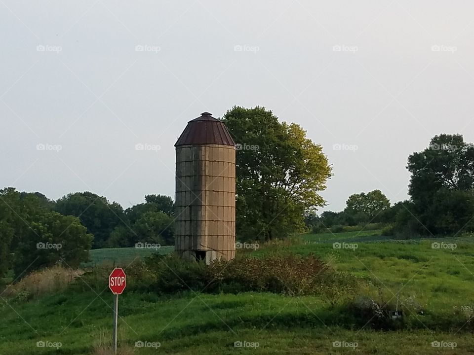 Driving the Back Roads and enjoying everything around us