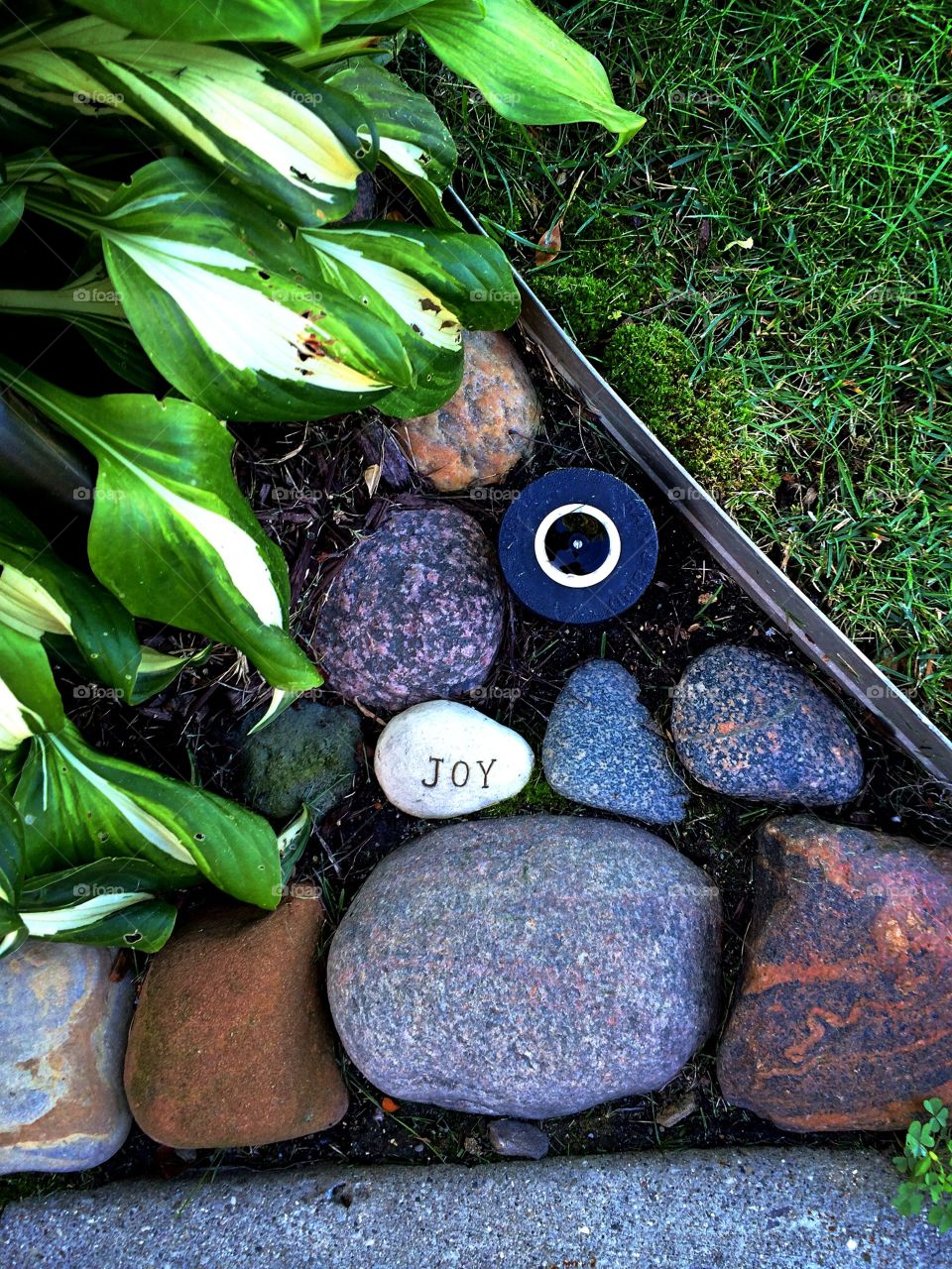 Joy Stone