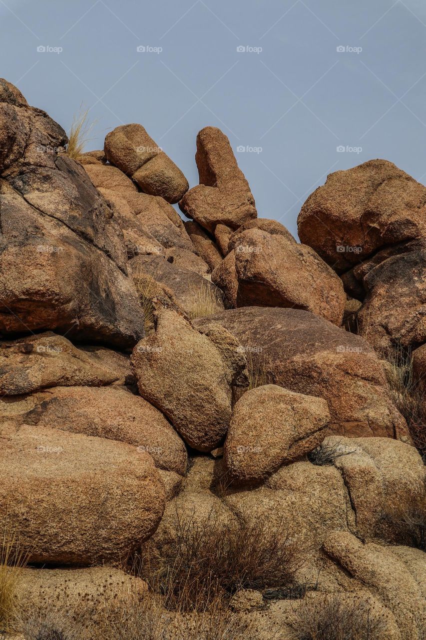 The vast landscape of the desert of Joshua Tree National Park with its desolate beauty and fascinating namesake trees, with its stunning desert plants and rock formations 