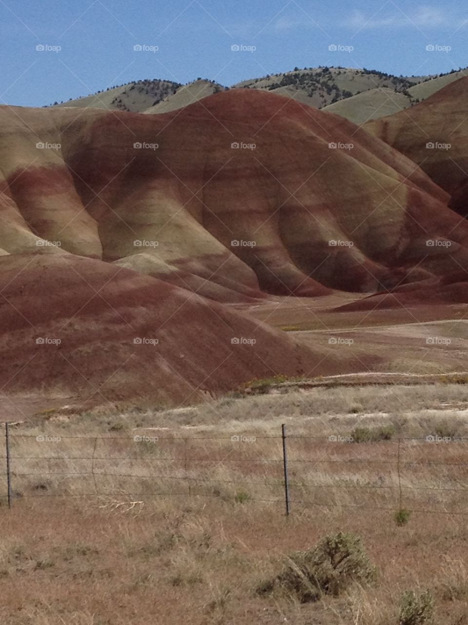 Painted hills of Oregon